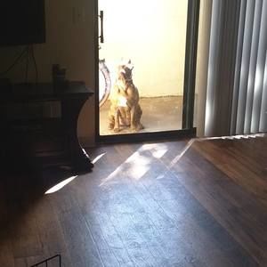 Meet your Posher, Shawn